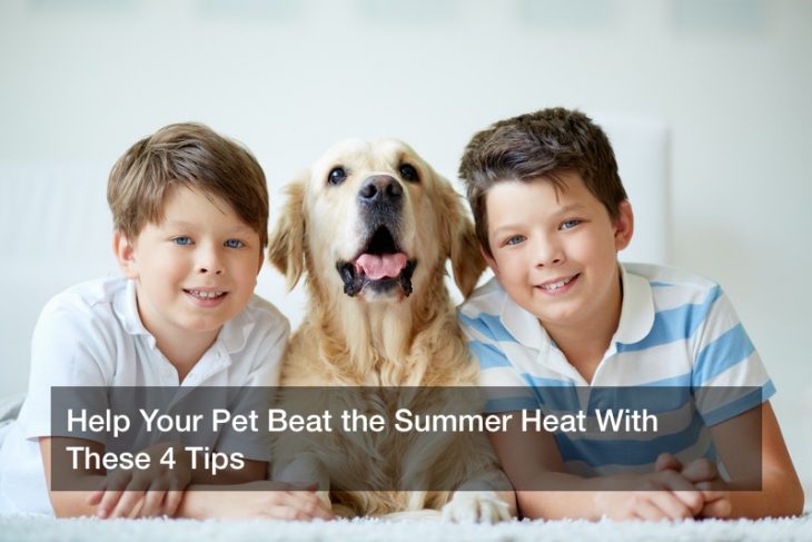 Help Your Pet Beat the Summer Heat With These 4 Tips