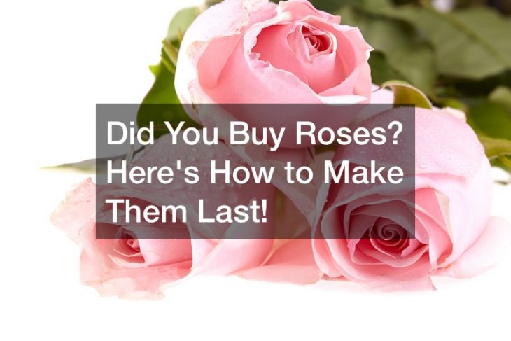 Did You Buy Roses? Heres How to Make Them Last!